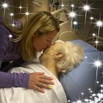 Robyn Harpwood - @robynharpwood - Instagram