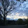 robyntharp - @robyntharp - TikTok