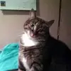 robin hatch - @robin.hatch - TikTok