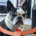 Robyn Henderson - @robyn.henderson.568 - Instagram
