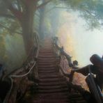 Robyn Hickey - Facebook