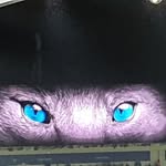 Robin Holder - @robin.holder.948 - Instagram