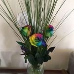 Robyn Holley - @robynh16 - Instagram