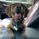 Robin Hopper - @robin_hopper21 - Instagram