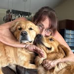 Robin Hopper-Ventura - @being_shiloh - Instagram