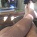 Robin Howarth - Facebook