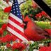 Robin Huff - Facebook