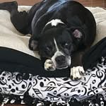 Robyn Huffar - @robynhuffar - Instagram