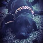 Robin Lee Husted-Warner - @braedenwarner1234 - Instagram