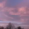Robyn Jenkins - @robyn.jenkins7 - TikTok