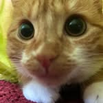 Robyn Anne Wilkinson Johnstone - @robynwilkinsonjohnstone - Instagram