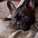Robyn Waggoner Johnstone - @robyn_waggoner_johnstone - Instagram