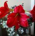 Robyn Kemp - Facebook