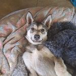 Robyn Masters-Kemp - @mastersrobyn - Instagram