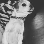 Robyn Kenny - @chopper_sisko - Instagram