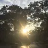 Robyn Kinsella - @2175970504 - TikTok