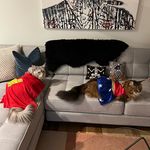 Robyn Kievit Kirkman - @massachusettsmaines - Instagram