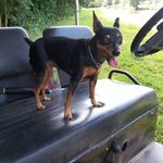 Robyn Kuhn Evans - @rockinrobyn2004 - Instagram
