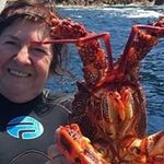 Robyn Langford - @langfordrobyn - Instagram