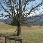 Robyn Self Langford - @claydalesmom - Instagram