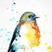 Robyn LeClair - Facebook