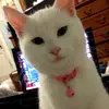 robynlockwood31 - @robynlockwood31 - TikTok