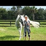 Luba's friendship w/Lord Robyn - @thoroughbredlordrobyn - Instagram