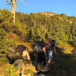 Robin Lovett - @robin_lovett08 - Instagram