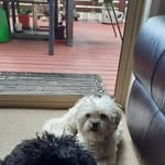 Robyn Lovett - @robyn.lovett.1 - Instagram
