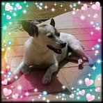 Robyn Lovett - Facebook