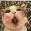 robynlowry716 - @robynlowry716 - TikTok