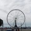 RobynLozano - @louzijsgs14 - TikTok
