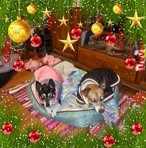 Robyn Luck - Facebook