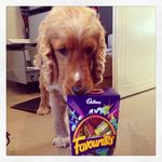 Robyn Luscombe - @luscomberobyn - Instagram