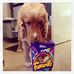 Robyn Luscombe - Facebook
