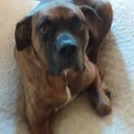 Robin Lutz - @lutz_robin - Instagram