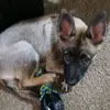 robynlynn61 - @robynlynn61 - TikTok