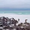 Robin Lyons  🏝️🐾😎 - @robin.lyons3 - TikTok