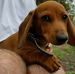 Robyn Lyons - Facebook