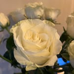 Robyn Lyons - @rlynnlyons3 - Instagram