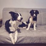 Robyn & Mabel - @robyn.and.mabel.adventures - Instagram
