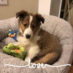 Robyn Boush Mabe - @robynboush - Instagram