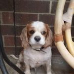 Robyn MacDonald - @robyn.macdonald.7161 - Instagram