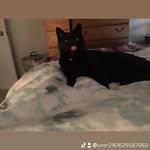 ROBYN MACDONALD - @robyn26122 - Instagram