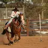 Robyn MacDonald - @robynmacdonald2 - TikTok
