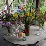 robyn macpherson - @macmajic_farm - Instagram