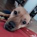 Robyn Maddox Fort - Facebook