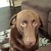 Robin Madison - Facebook