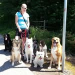 Robyn Magee - @irisheagle1477 - Instagram