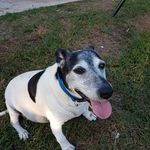 Robyn Maguire - @maguire.robyn - Instagram